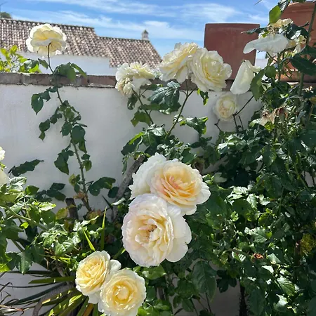 House In Surrounded By Golf Courses *